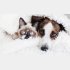 タオルありがとう（写真:iStock）