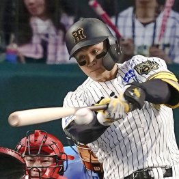 森下翔太はこれまで全試合出場(C)共同通信社