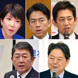 このメンメンがこんな茶番劇で3週間も?(C)日刊ゲンダイ