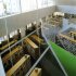 読書スペースはすべて外部に面している（中津市立小幡記念図書館提供