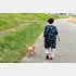 （写真:iStock）