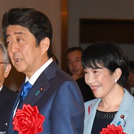 心酔安倍政権時代への「先祖返り」/(C)日刊ゲンダイ