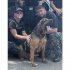 捜索犬のダリルはコーディ君の靴の臭いを手掛かりに…（米ミズーリ州ファーミントン刑務所のフェイスブックから）