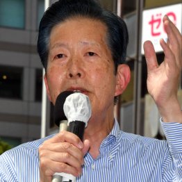 公明党の「痛税感を和らげる」の説明は茶番（Ｃ）日刊ゲンダイ