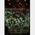 幻想的な世界観だ（Ｃ）日刊ゲンダイ