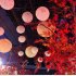 海の世界で紅葉狩り（Ｃ）日刊ゲンダイ