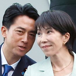 国民を欺く道化役者（Ｃ）日刊ゲンダイ