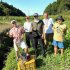 「夢工房 東」の宇井さん、（右端）と釣り仲間（Ｃ）日刊ゲンダイ