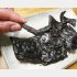塩干しされた「タレ」は血合いだけに真っ黒。これをあぶり、熱々を千切って食べる（Ｃ）日刊ゲンダイ