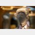 怖っ！（写真:iStock）