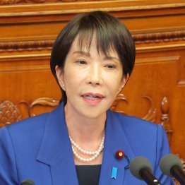 正体は見えた(C)日刊ゲンダイ