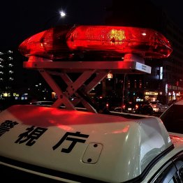 細野正幸容疑者も少女の母親も鬼畜だ（写真はイメージ）／（Ｃ）日刊ゲンダイ