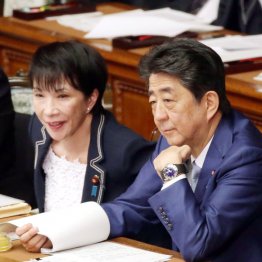 ノスタルジーにどっぷり（Ｃ）日刊ゲンダイ