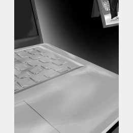 イラスト・宮坂猛