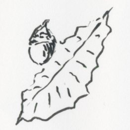 イラスト・沢野ひとし