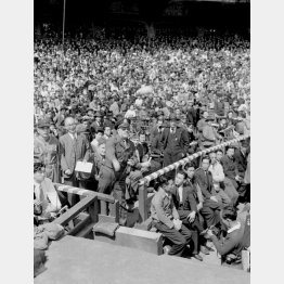 後楽園球場のプロ野球開幕戦、金星対阪急戦でスタンドから米国式の始球式を行う連合国軍総司令部（GHQ）経済科学局長のマーカット少将（1948＝昭和23＝年4月4日）／（Ｃ）共同通信社