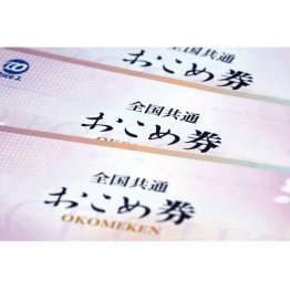 防衛費はうなぎのぼりに上昇続け、かたや物価対策は、なんと「おこめ券」である（Ｃ）共同通信社