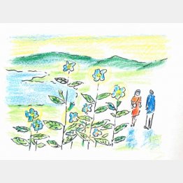 イラスト・沢野ひとし