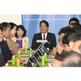 自民党税調は高市忖度メンバーばかり。予算用途を決めやすくするために税調コントロール（Ｃ）日刊ゲンダイ