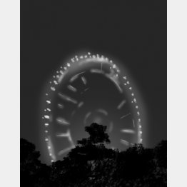 イラスト・宮坂猛