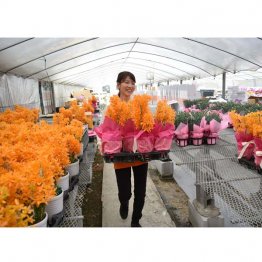 創業後、おてつたび実践中（提供写真）