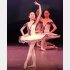 バレエはダンスの基盤になった（提供写真）