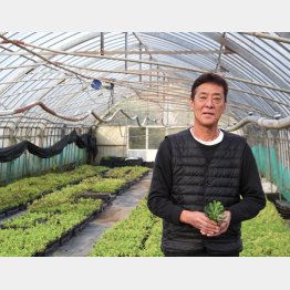 海外進出も視野に入れる藤田社長（Ｃ）日刊ゲンダイ