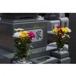 都内に墓地を探そうとなれば…