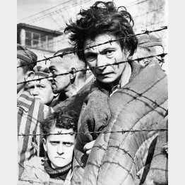 第2次世界大戦（1939～1945年）、ドイツによるポーランド占領。アウシュビッツ（オシフィエンチム）強制収容所。1945年1月27日、ソ連軍はアウシュビッツ生存者7500人を解放した（Ｃ）Sputnik／共同通信イメージズ
