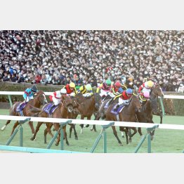 夢を託すしか…（2024年の第69回有馬記念）／（Ｃ）日刊ゲンダイ