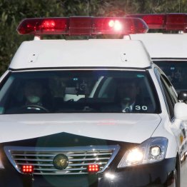 「（占いが）よく当たる」と口コミで評判で…（写真はイメージ）／（Ｃ）日刊ゲンダイ